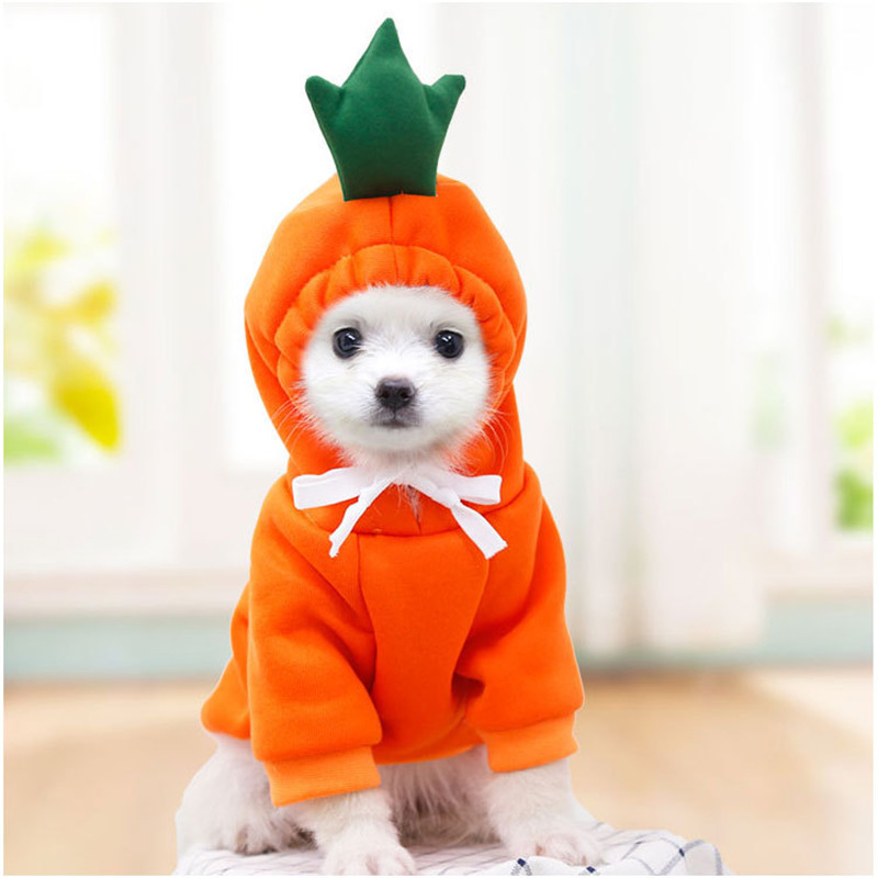 Winter Clothing Pictures - Cute Fruit Dog Clothes for Small