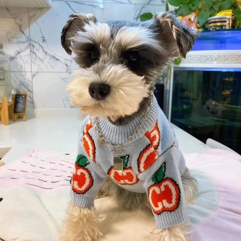 Letter Sweater Pet Dog Clothes - огляд і ціна Winter Clothing For Toddlers