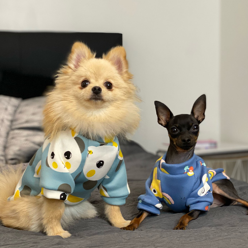 Xs Dog Clothes for Small Dogs  - огляд і ціна Winter Clothing For Toddlers