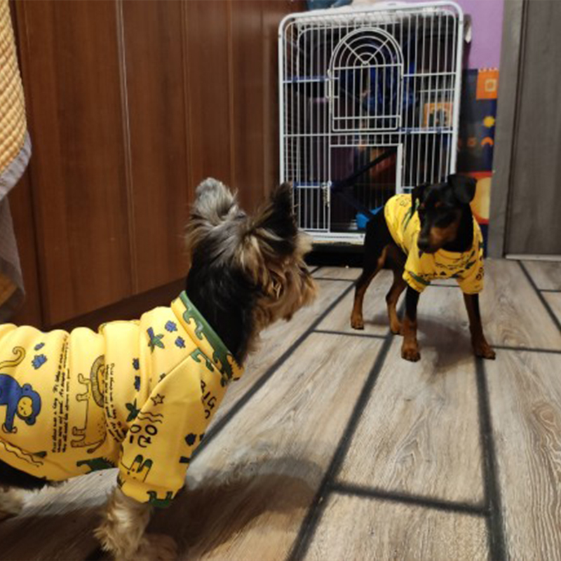 Xs Dog Clothes for Small Dogs  - огляд і ціна Winter Clothing For Toddlers