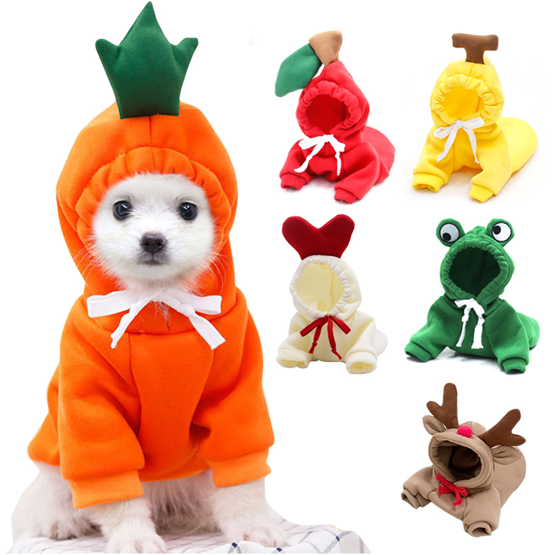 Cute Fruit Dog Clothes for Sma - огляд і ціна Winter Clothing Pictures