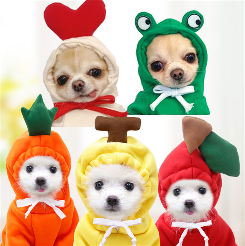 Cute Fruit Dog Clothes for Sma - огляд і ціна Winter Clothing Pictures