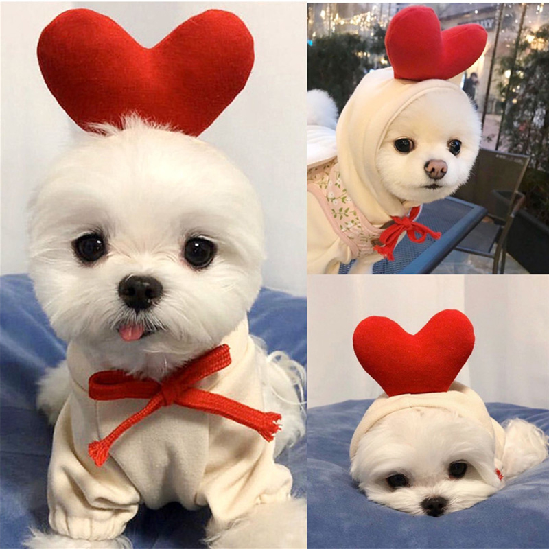 Cute Fruit Dog Clothes for Sma - огляд і ціна Winter Clothing Pictures