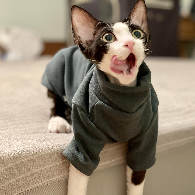 Sphynx Cat Clothes Baby Soft C - огляд і ціна Winter Clothing For Toddlers